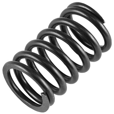 Caltric Engine Valve Spring for Kohler 2408902-S New 
