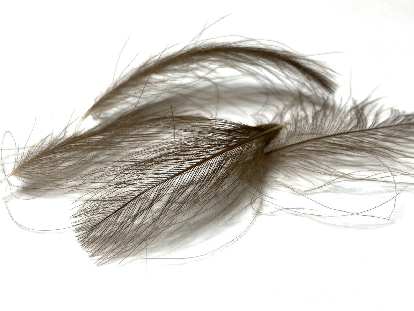Picture 6 of 6