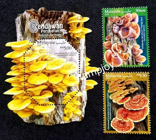 Malaysia Medicinal Mushrooms 2026 Food Fungi (stamp + ms) MNH *embossed *unusual