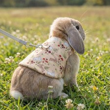Breathable Pet Rabbit Harness Flower Pattern Rabbit Leash Set  Daily Wear