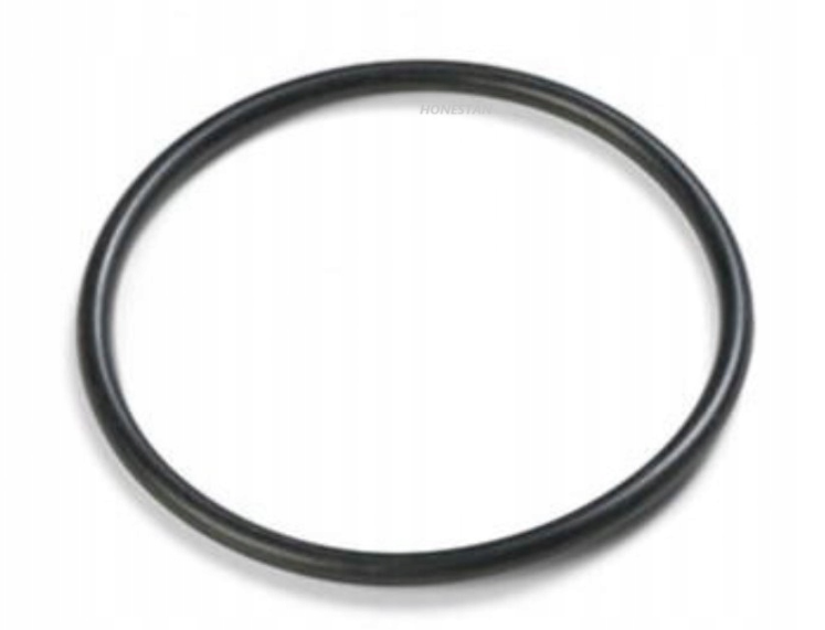 INTEX 10262 Valve O-Ring Seal 10747