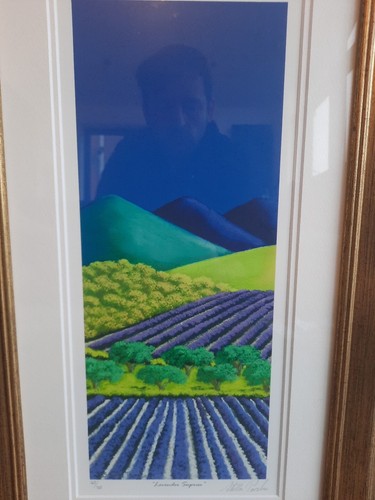 Stella Parslow "Lavender Surprise" Signed Print 145/350 COA 34cm W 57cm H - 第 2/7 張圖片