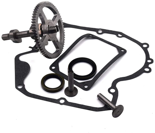 Kit Ricambio Albero A Camme Briggs & Stratton 793880 | Compatibile 84005207 | Include Guarnizioni E Bielle