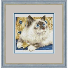 Counted Cross Stitch Kit Cat DIY