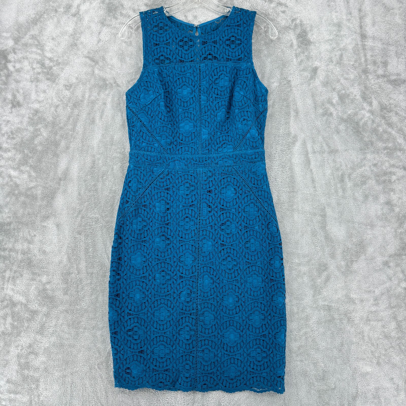 Anthropologie HD In Paris Dress Womens Small Lace Sheath Evening