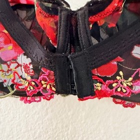 Lise Charmel Underwire Multi-Color Bra 36D Floral-Embroidered Intricate Design