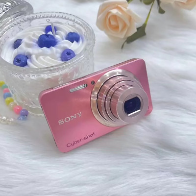 SONY Cyber Shot DSC-W570 Pink Digital Camera 16.1MP 5x zoom