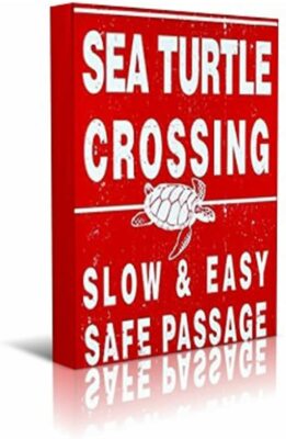 TURTLE CROSSING CANVAS 