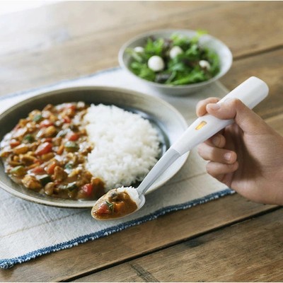 Kirin Holdings Electric Salt Spoon ES-S001 New japan | eBay