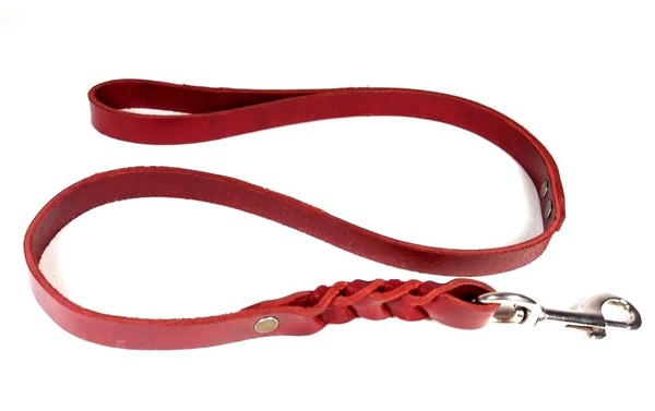 Correa de cuero para perros