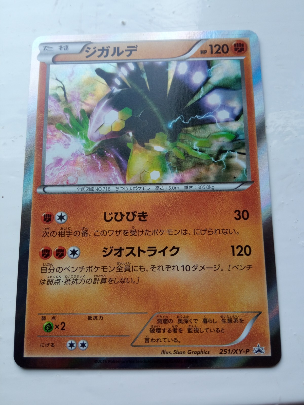 Pokemon Card XY Promo Zygarde 251/XY-P Japanese