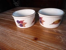2 Royal Worcester Oven to Table Wild Harvest Ribbed 3" Souffle Bowls