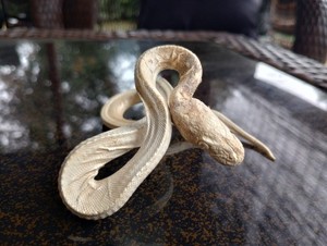 Real Snake Taxidermy - Preserved Reptile Specimen - Mummified Python Snake 