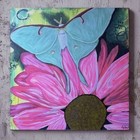 Blooming Moth Painting Canvas 24x24 Colorful couple Floral Art Original Acrylic — photo 1