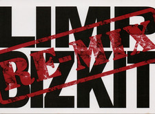 Limp Bizkit New Old Songs 2001 Promo Flyer Postcard Interscope Diddy Neptunes