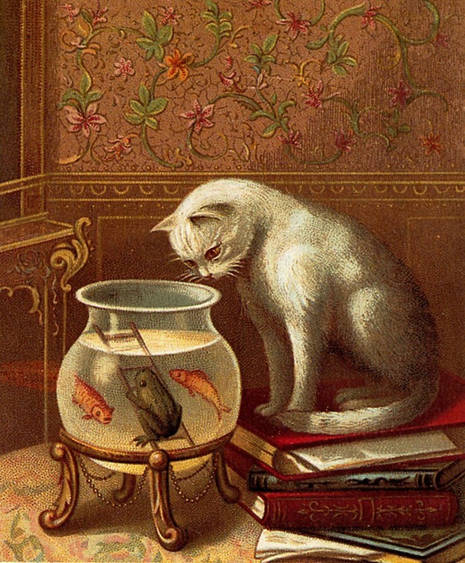 Vtg White Cat Art Postcard Fishbowl Frog Goldfish The Fisher Raphael Tuck Repro