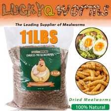 11LBS Dried Mealworms Bulk Sale High Protein Non-GMO Food For Chicken Bird Fish