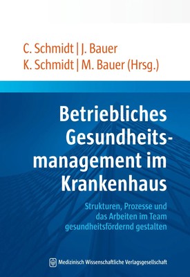 Christian Schmidt | Betriebliches Gesundheitsmanagement im Krankenhaus | Buch