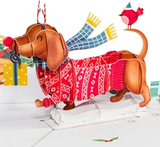 Woofy Christmas Pop up Card, Detachable 3D Christmas Cards, Gift for Christmas o