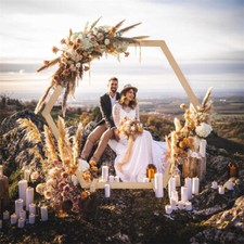 Wooden Wedding Arch Hexagon Arbor Backdrop Stand for Indoor Outdoor Garden Decor