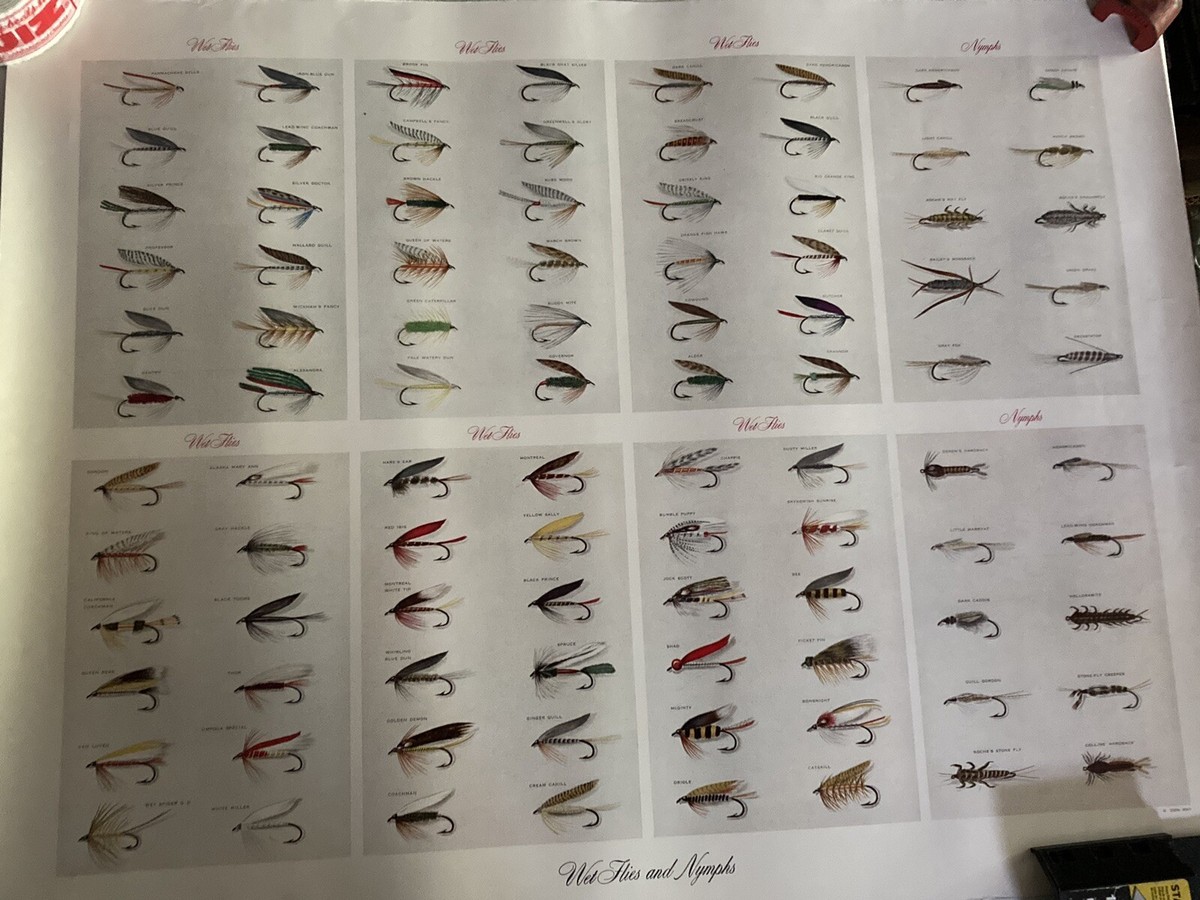 Fly Fishing Flies Chart