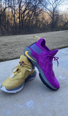 lebron james purple and gold