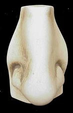 Michelangelo's David Nose Classic Art Wall Sculpture 