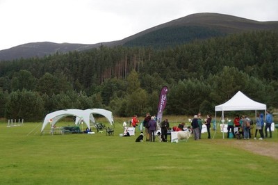 Foto 6x4 kleine Hundeausstellung im Hayfield, Glenmore Glen More\/NH9809 c2016