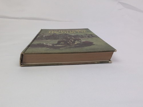 Alfred Hitchcock Three Investigators #7 The Mystery of The Fiery Eye 1st HC 1967 - Picture 6 of 7