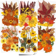 Real Dried Pressed Flowers for Crafts, 100 PCS Fall Dried Flowers Leaves Nat...