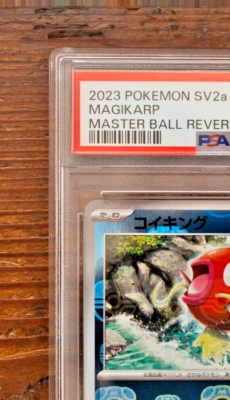 PSA 10 Magikarp Gyarados Master Ball Reverse Holo SEQ set Pokemon
