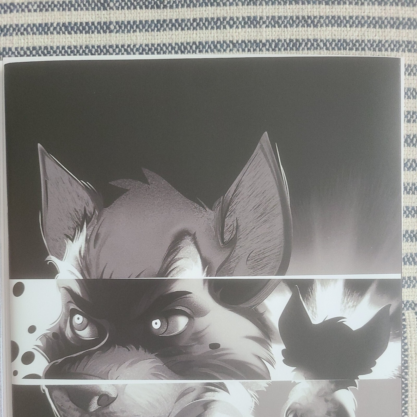 Picture 4 of 10