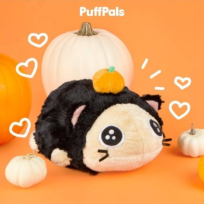 RARE Fluffnest Black Cat Ham Pumpkin Puffpals Limited Edition P001-FR-CT