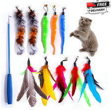 Interactive Cat Wand Toy Retractable Feather Teaser Stick Set for Indoor Cats