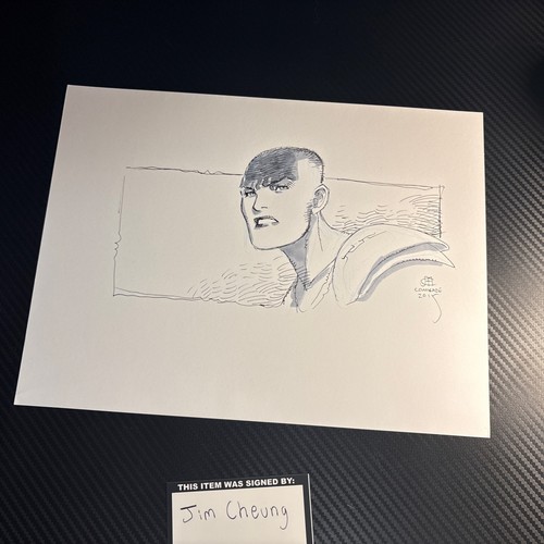 Jim Cheung Original Comic Art -Mad max Furiosa - 9x12 -Signed