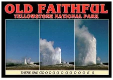 OLD FAITHFUL THERE SHE GOES YELLOWSTONE NATIONAL PARK  WYOMING POSTCARD COND: VG
