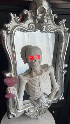 Martha Stewart LED Lighted Skeleton Glass Mirror Silver Vertical with Sound