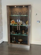 Camel Platinum Silver Birch Slim 2 Door Display Cabinet