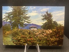 POSTCARD: Azalea State Park Brook, Oregon N7