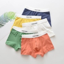 Children Underwear Boys Panties Cotton Boxers Briefs Panties Underwear Clothing