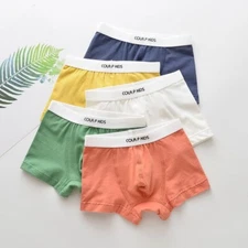 Children Underwear Boys Panties Cotton Boxers Briefs Panties Underwear Clothing