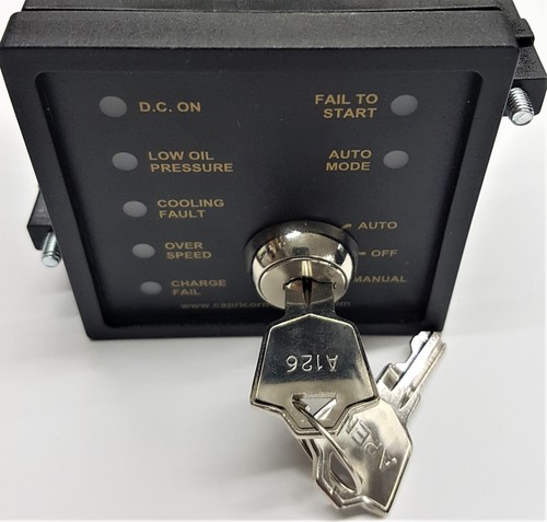 Pair of A126 APEM spare keys, Security, Mobility & Controls - Picture 3 of 3