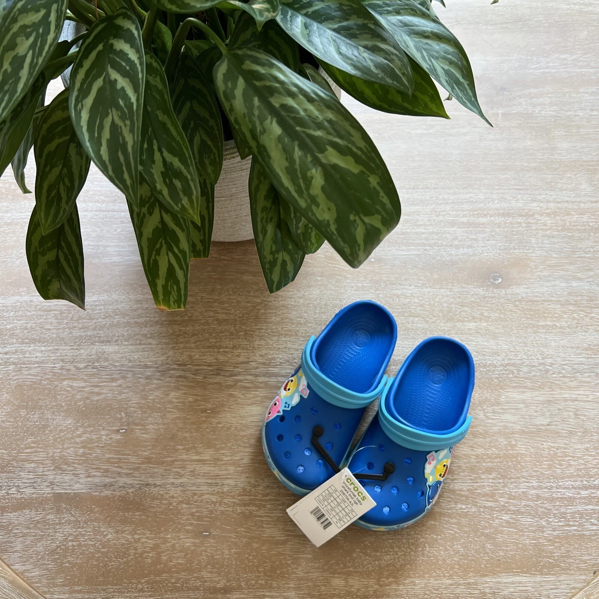 Baby shark online crocs size 8