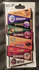 New! Busch Gardens Williamsburg Retro Coaster Pennant Magnet Set (10)