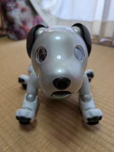 Sony Aibo Ers 1000 | eBay