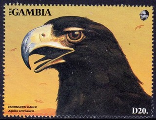 GAMBIA used 9/10