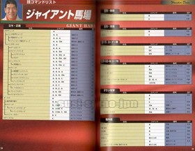 ALL JAPAN PRO WRESTLING AJPW SEGA SATURN SS GAME OFFICIAL GUIDE BOOK SOFTBANK