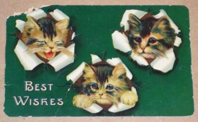 1910 EMBOSSED GERMAN POSTCARD, BEST WISHES, 3 CATS, LEOLA, SOUTH DAKOTA POSTMARK