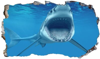 Ozean Weißer Hai 3D magisches Fenster Wandbild selbstklebendes Vinyl Poster V3