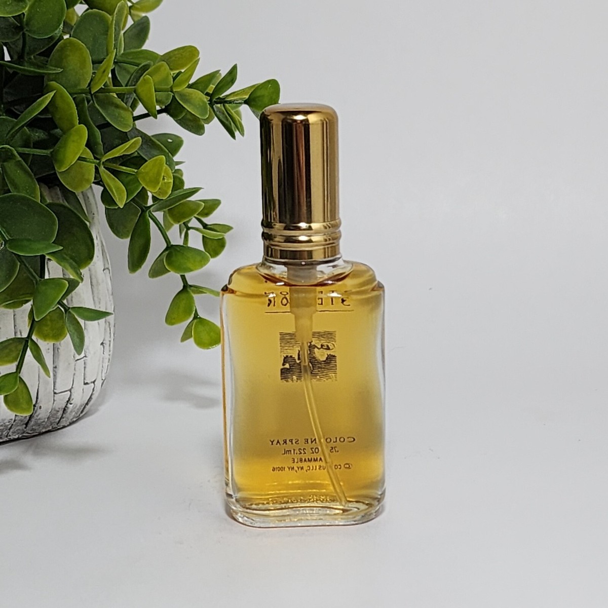 コティ　ステットソン　コロン　香水 Amazon.com : Stetson Original Eau De Cologne Spray 44Ml